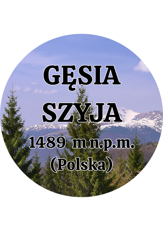 Dodaj nagłówek - 2025-09-04T145602.569.png