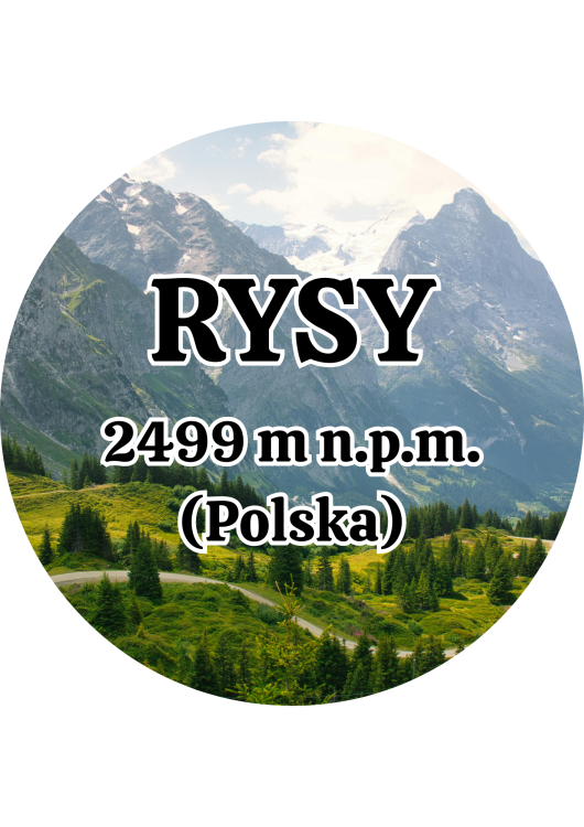 Dodaj nagłówek (17).png