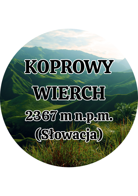 Dodaj nagłówek (22).png