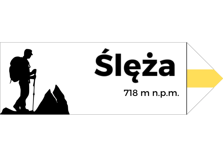 Projekt bez nazwy - 2024-08-07T102709.759.png