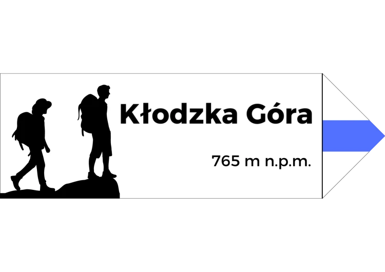 Projekt bez nazwy - 2024-08-07T102035.669.png