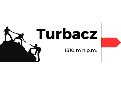 Projekt bez nazwy - 2024-08-07T101243.927.png