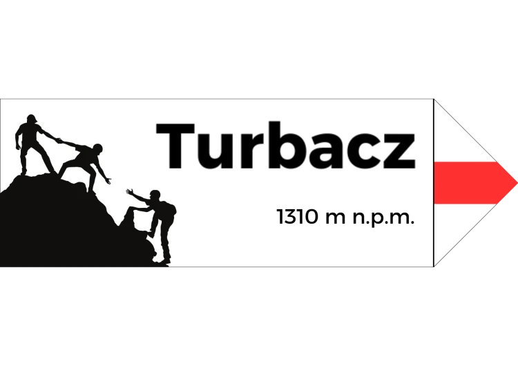 Projekt bez nazwy - 2024-08-07T101243.927.png
