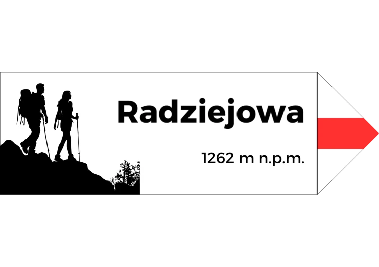 Projekt bez nazwy - 2024-08-07T101057.661.png