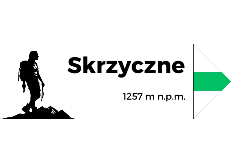 Projekt bez nazwy - 2024-08-07T100924.114.png