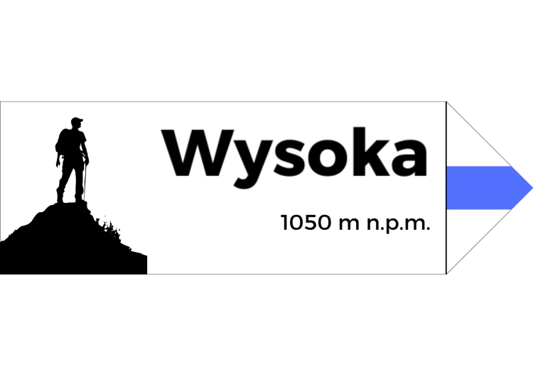 Projekt bez nazwy - 2024-08-07T100033.737.png