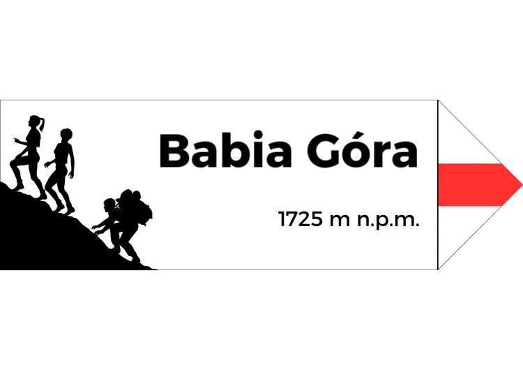 Projekt bez nazwy - 2024-08-07T095536.875.png