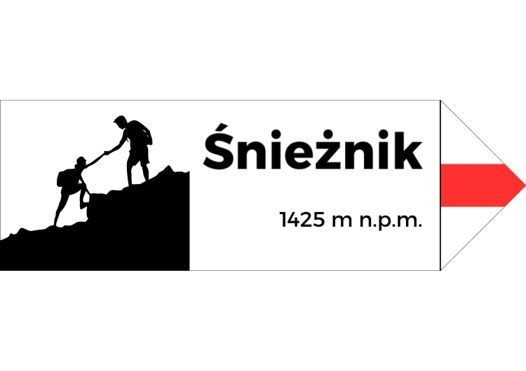 Projekt bez nazwy - 2024-08-07T095249.973.png