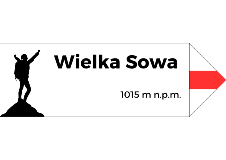 Projekt bez nazwy - 2024-08-07T095044.048.png