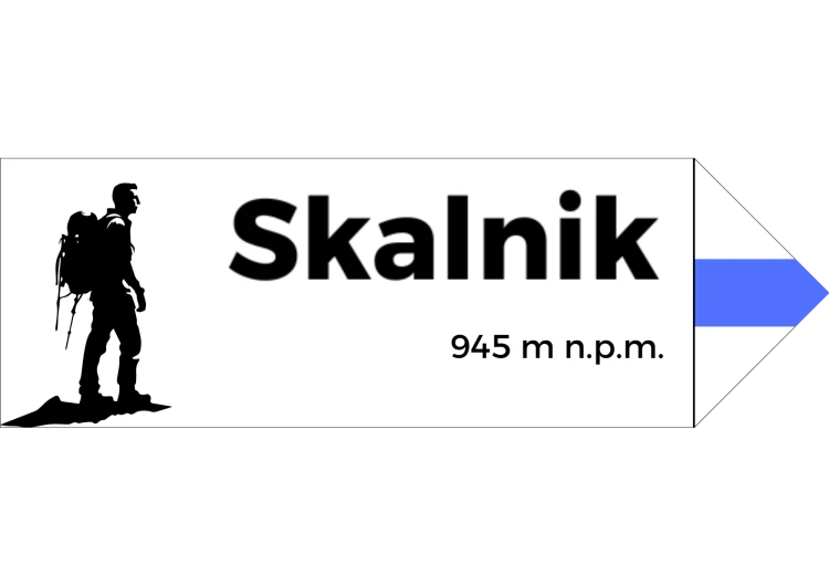 Projekt bez nazwy - 2024-08-07T094221.213.png