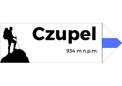 Projekt bez nazwy - 2024-08-07T093949.939.png