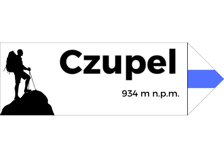 Projekt bez nazwy - 2024-08-07T093949.939.png