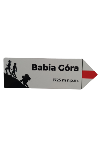 Projekt bez nazwy - 2024-08-23T112614.401.png