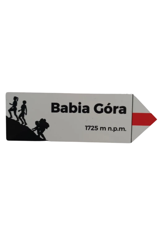Projekt bez nazwy - 2024-08-23T112614.401.png