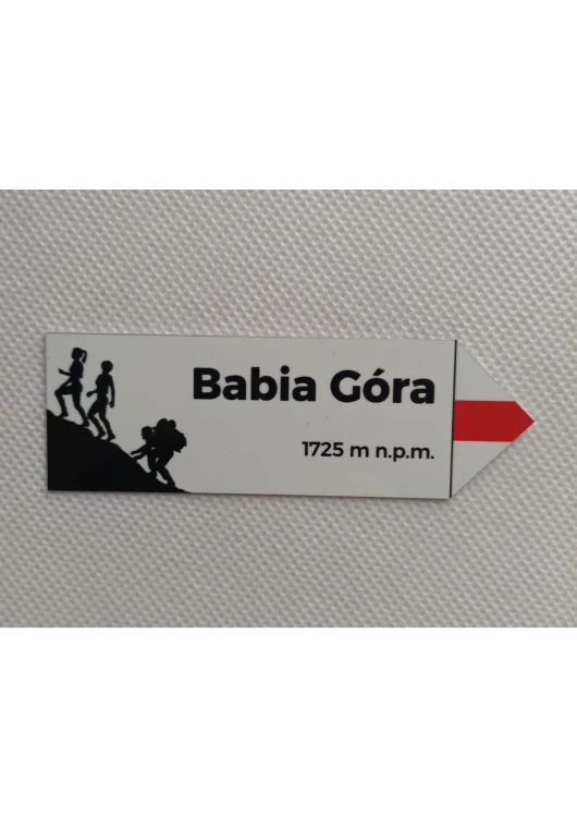 Projekt bez nazwy - 2024-08-23T112722.293.png