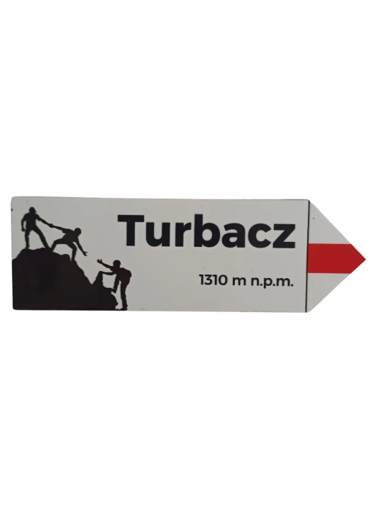 Projekt bez nazwy - 2024-08-23T112901.738.png