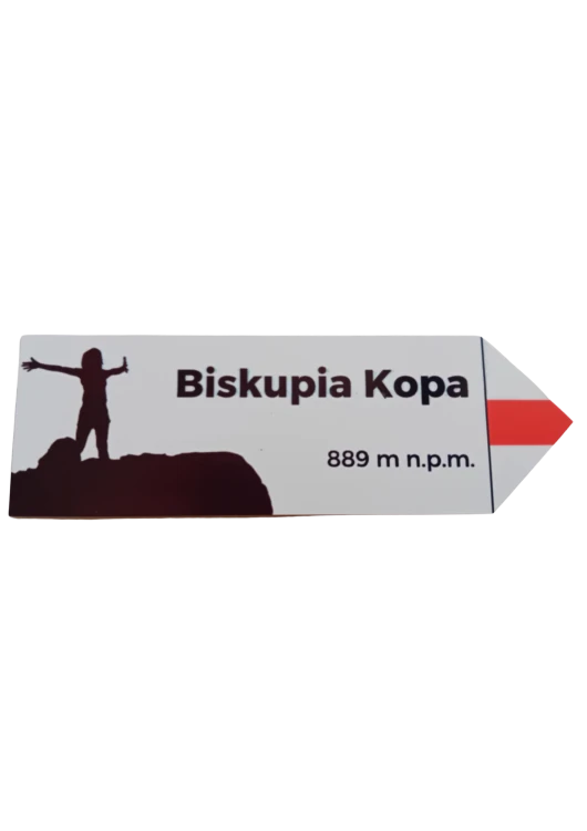 Projekt bez nazwy - 2024-10-25T132238.964.png