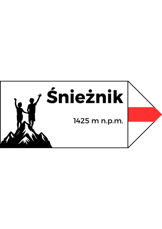 Projekt bez nazwy (7).png
