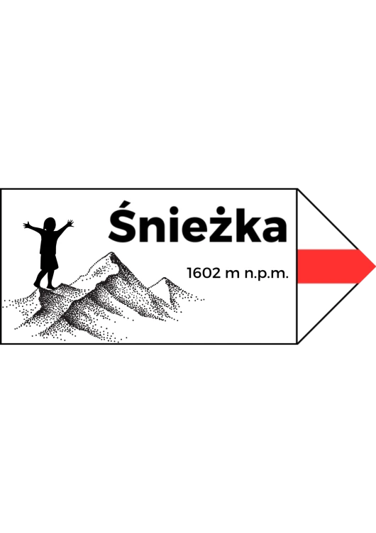 Projekt bez nazwy (8).png