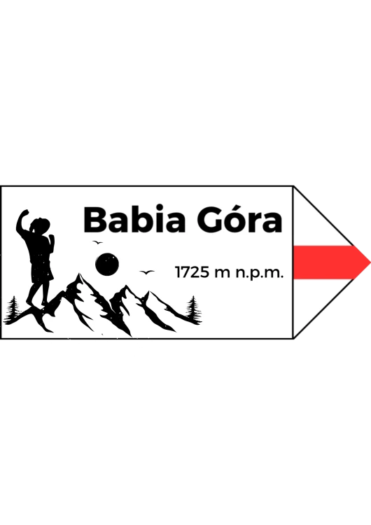 Projekt bez nazwy (9).png