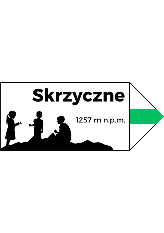Projekt bez nazwy (27).png