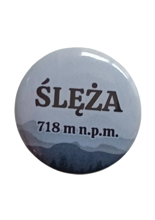 Projekt bez nazwy - 2025-06-12T083519.156.png