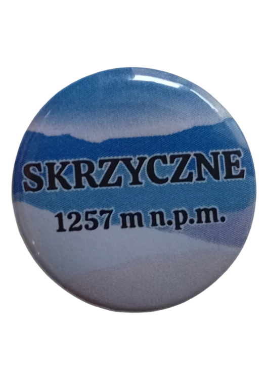 Projekt bez nazwy - 2025-06-12T090236.803.png
