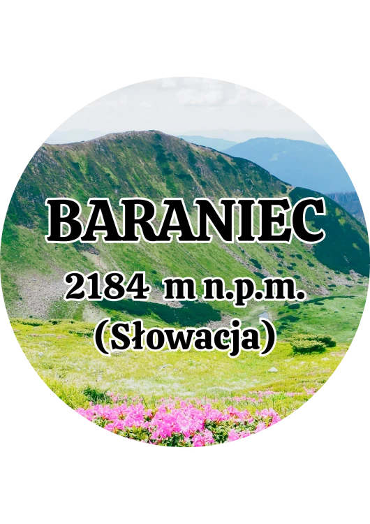 Dodaj nagłówek - 2025-09-01T142850.011.png