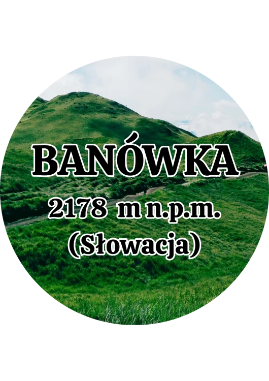 Dodaj nagłówek - 2025-09-01T142953.446.png