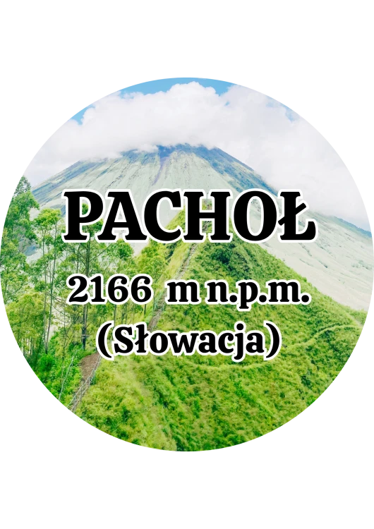 Dodaj nagłówek - 2025-09-01T144019.901.png