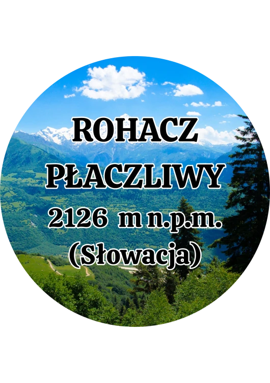 Dodaj nagłówek - 2025-09-04T132422.530.png