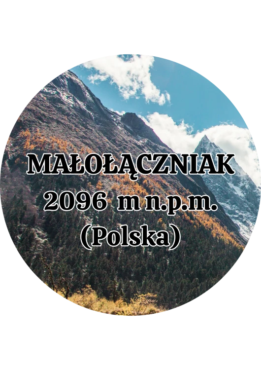 Dodaj nagłówek - 2025-09-04T133534.378.png