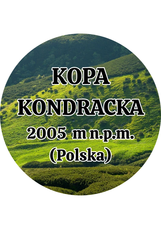 Dodaj nagłówek - 2025-09-04T141634.995.png