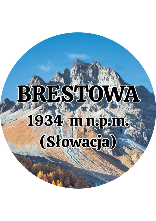 Dodaj nagłówek - 2025-09-04T142636.402.png