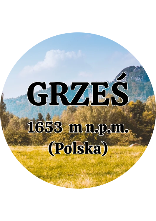 Dodaj nagłówek - 2025-09-04T144958.341.png