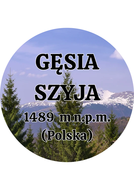 Dodaj nagłówek - 2025-09-04T145602.569.png