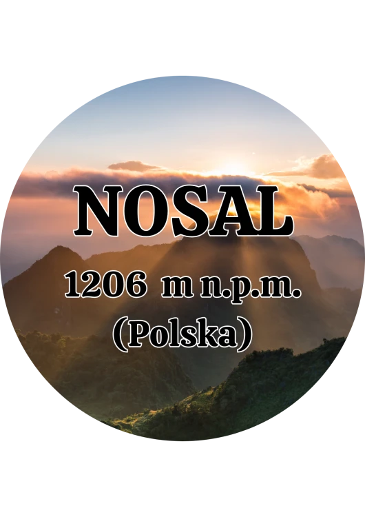 Dodaj nagłówek - 2025-09-05T104952.979.png