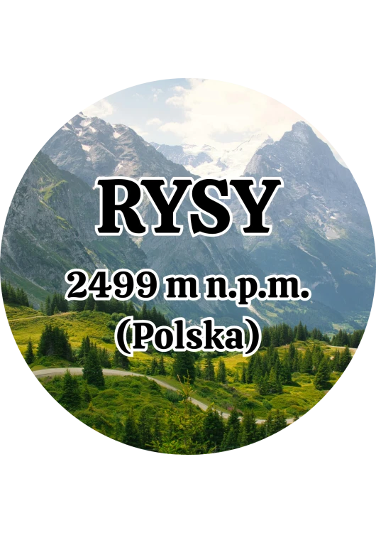 Dodaj nagłówek (17).png