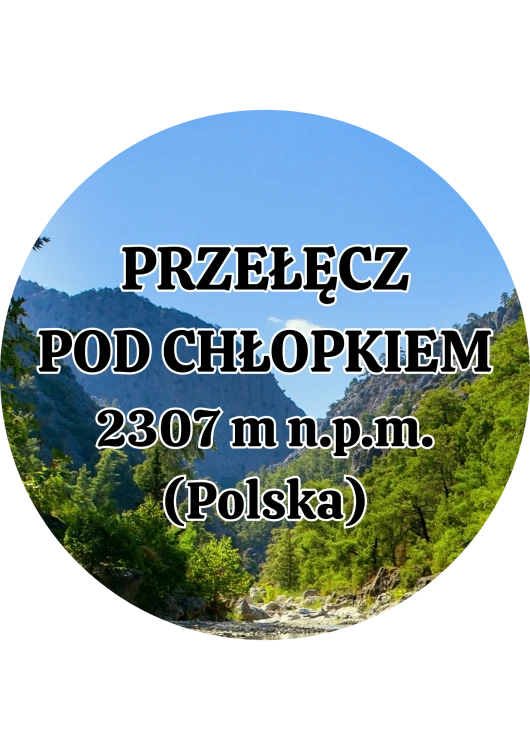 Dodaj nagłówek - 2025-09-01T134919.254.png