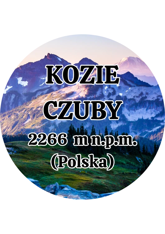 Dodaj nagłówek - 2025-09-01T140011.964.png