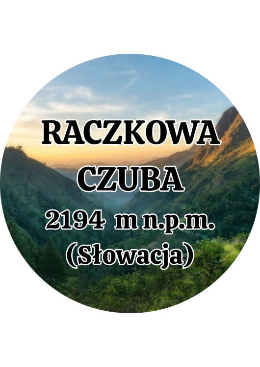 Dodaj nagłówek - 2025-09-01T142037.321.png