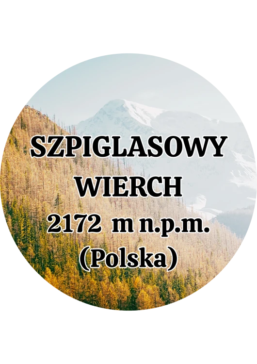 Dodaj nagłówek - 2025-09-01T143737.727.png