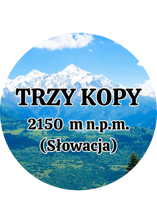Dodaj nagłówek - 2025-09-01T145153.913.png