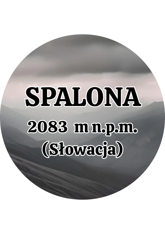 Dodaj nagłówek - 2025-09-04T134614.581.png