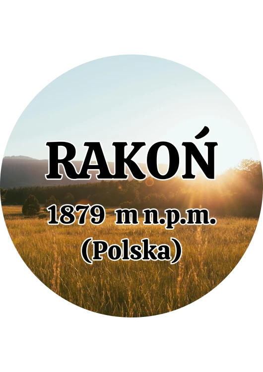 Dodaj nagłówek - 2025-09-04T143130.824.png