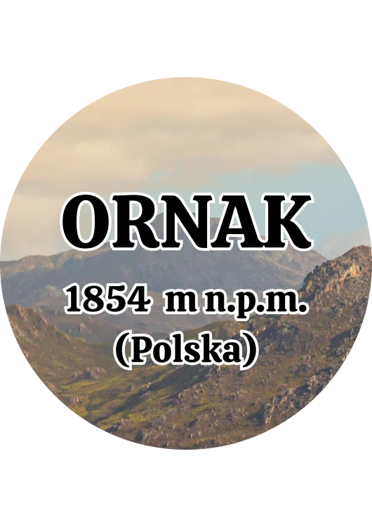 Dodaj nagłówek - 2025-09-04T143809.819.png