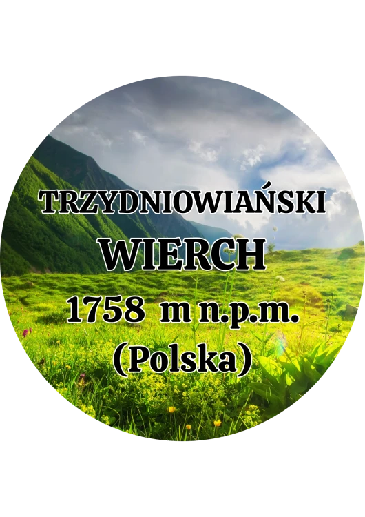 Dodaj nagłówek - 2025-09-04T144559.408.png