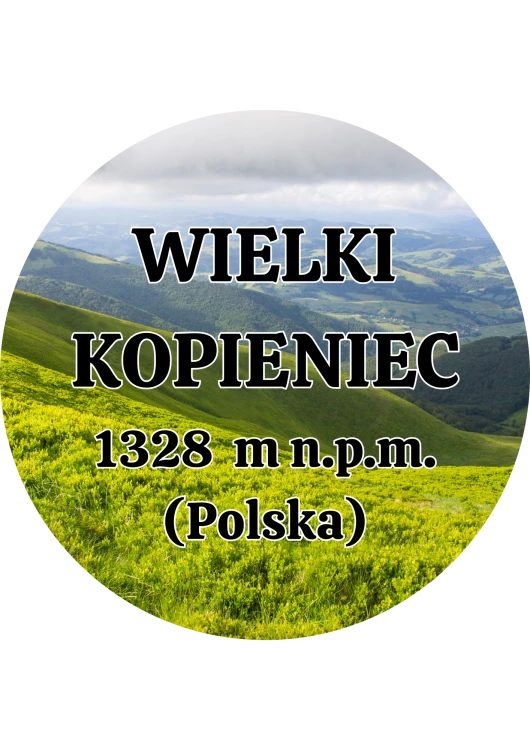 Dodaj nagłówek - 2025-09-04T145823.504.png