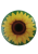 TW (6).png