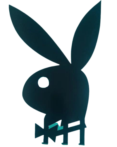 wieszak playboy.png